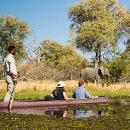 Khwai & Moremi Wilderness Safari